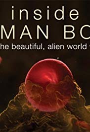 Inside the Human Body (2011 ) Free Tv Series