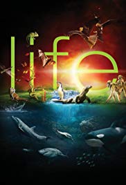 Life (2009) Free Tv Series