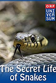 The Secret Life of Snakes (2016) Free Movie