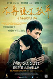 A Beautiful Life (2011) Free Movie