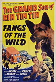 Fangs of the Wild (1939) M4uHD Free Movie