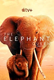 The Elephant Queen (2019) Free Movie
