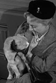 Miss Paisleys Cat (1957) Free Movie